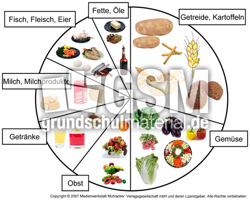 Nahrungsmittelkreis.jpg